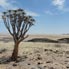 Central Namib