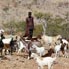 Berger Himba