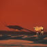 Oryx-dans-le-Namib
